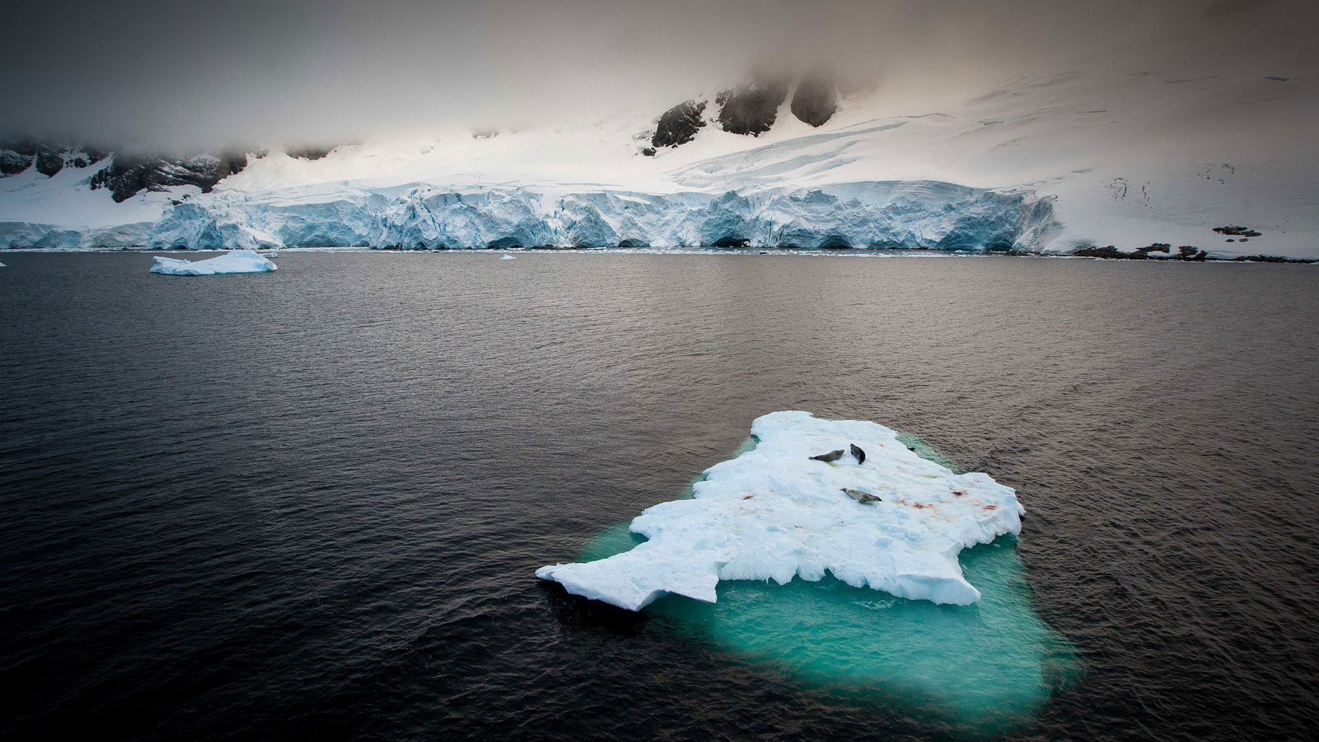 Weddell Sea Quest Wayfinders   Antarpply 5 