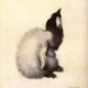 Emperor penguin chick, Edward Wilson